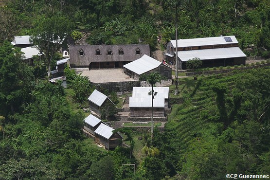 griveliere-guadeloupe