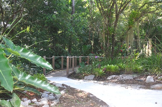 jardin-botanique-guyane