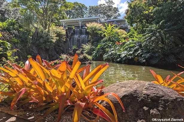 Guadeloupe : les 6 plus beaux parcs et jardins