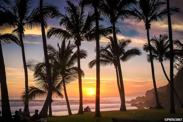 Que visiter dans le sud de l’île de la Réunion ? 