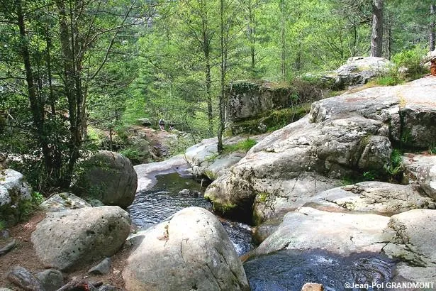 Corse : excursion dans la forêt d'Aïtone