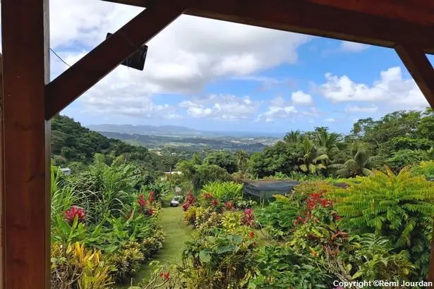 Martinique : immersion au cœur du Jardin de la Montagne