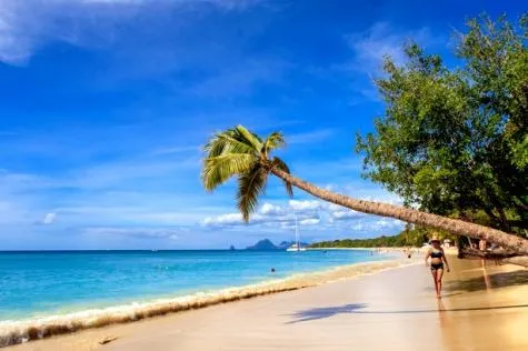 Les 10 plus belles plages de la Martinique !