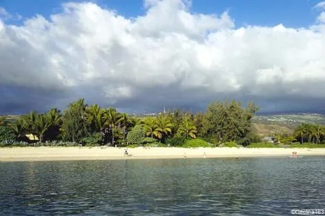 Réunion : que voir et que faire à La Saline-les-Bains ?