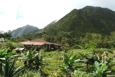 Martinique : Découvrez les Pitons du Carbet