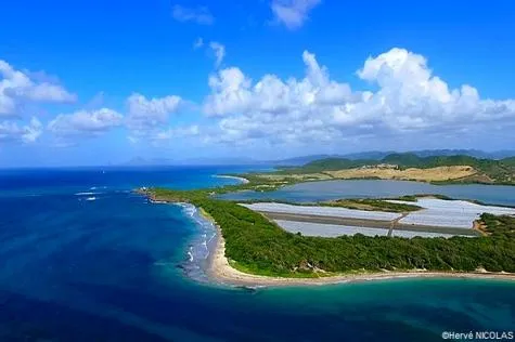Martinique : Parcourez l’étang des Salines à Sainte-Anne