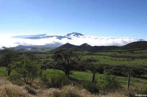 Explorez la Plaine des Cafres, sur l'île de la Réunion !