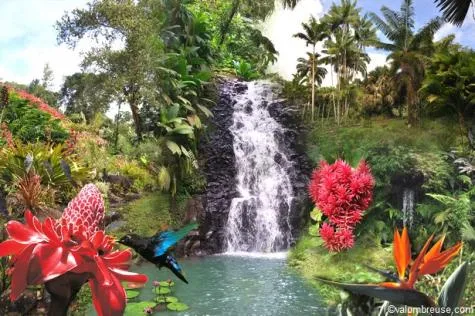 Explorez les jardins de Valombreuse, sur l’île de la Guadeloupe