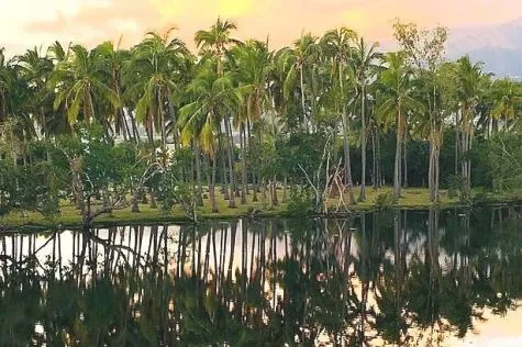 La Réunion : balade sur le Tour des Roches à Saint-Paul