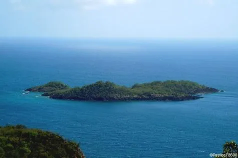 Plongée aux îlets Pigeon, sur l'île de la Guadeloupe