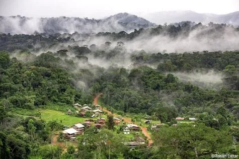 Le Parc National Amazonien, territoire protégé de la Guyane