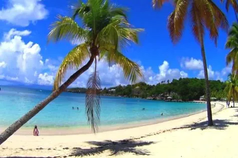 Guadeloupe : Escapade incontournable à Pointe-à-Pitre