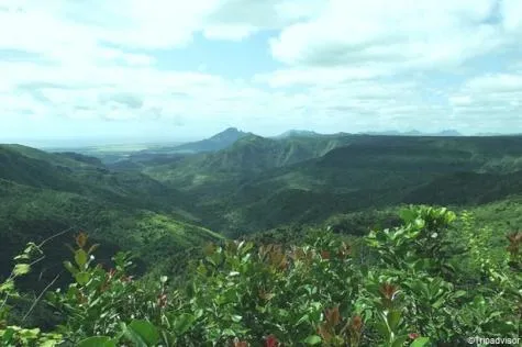 Découvrez Trou-aux-cerfs, le cœur volcanique de l'Île Maurice