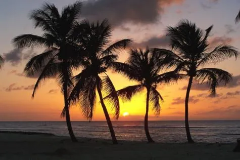 Explorez Anse-Bertrand, sur la côte sauvage de la Guadeloupe