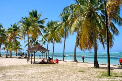 Partez à la découverte de Grand-Bourg, sur l’île de Marie-Galante