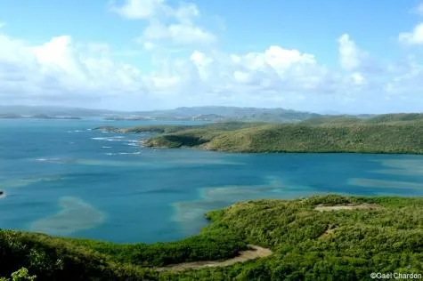 Martinique : 5 visites à faire pour découvrir la Trinité
