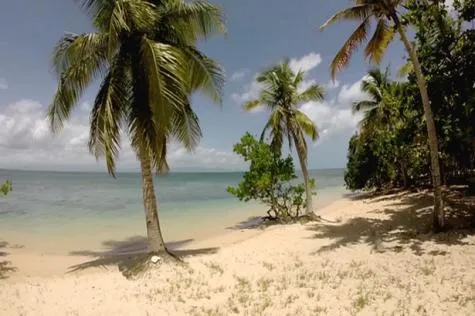 Découverte de Petit-Canal, en Guadeloupe