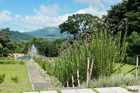 Découvrez le Domaine d’Emeraude en Martinique