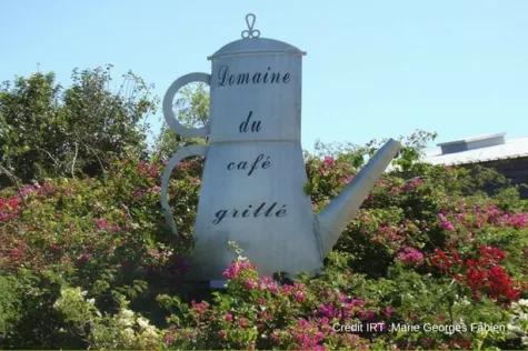 Découvrez le Domaine du Café Grillé sur l’île de La Réunion