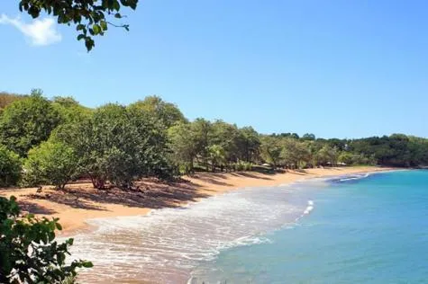 Escapade au plus près de la nature à Sainte-Rose, en Guadeloupe