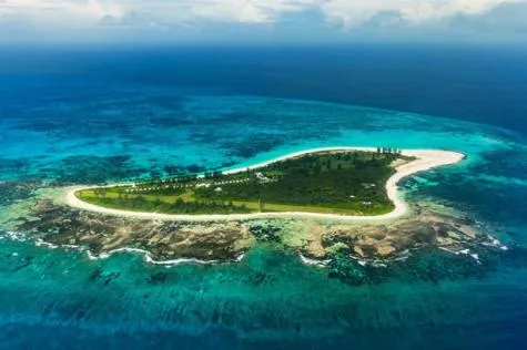 Bird Island, le paradis des oiseaux aux Seychelles