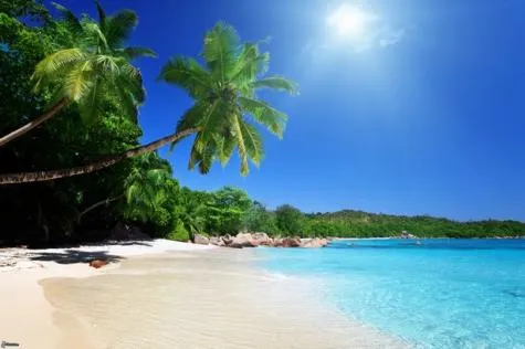 5 conseils pratiques pour votre voyage aux Antilles !