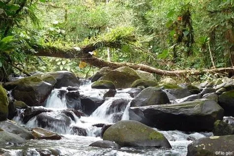 Guadeloupe : 7 visites incontournables à faire à Goyave