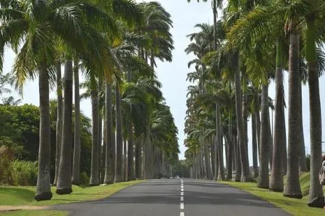 Comment organiser un road-trip en Guadeloupe ?
