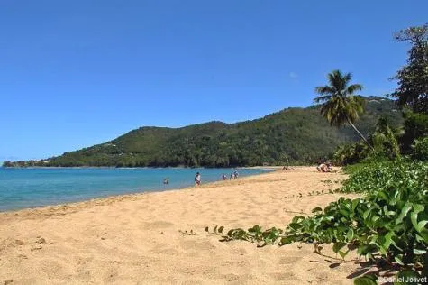 Découvrez l’archipel de la Guadeloupe !