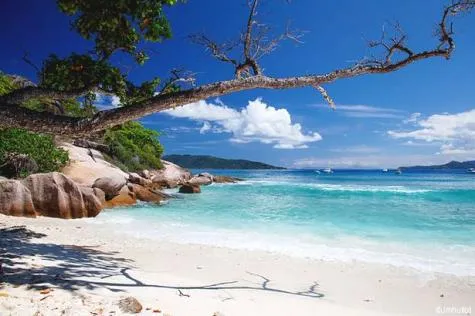 Nos 7 bonnes raisons de visiter les Seychelles !