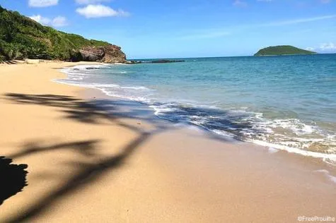 Guadeloupe : Que visiter dans le Nord de l’île ?