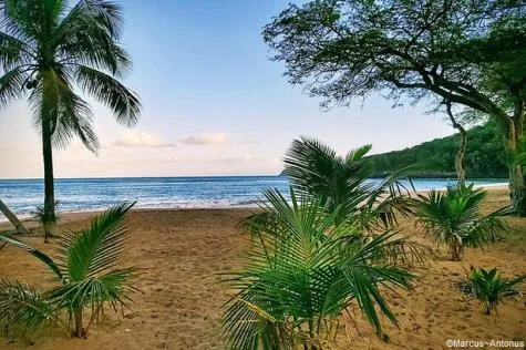 Guadeloupe : Découvrez 6 visites incontournables de la côte Ouest !