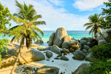 Pourquoi visiter les Seychelles, au coeur de l'océan Indien ? 