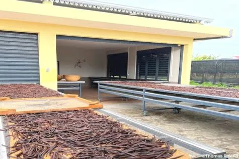 La Réunion : découverte de la plantation Vanille Roulof 
