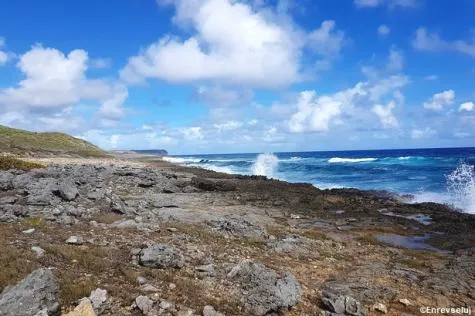 Marie-Galante : Excursion à la plaine des Galets