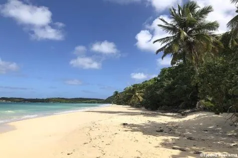 Que visiter pour un séjour de 10 jours à Marie-Galante ? 
