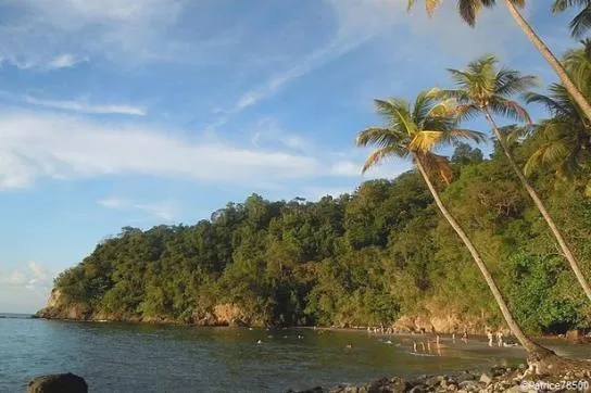 Martinique : Que visiter sur la côte Ouest de l’île ?