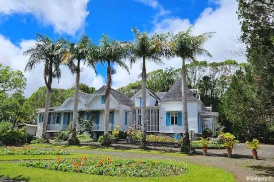 Île Maurice : 5 plantations à visiter sur l’île !