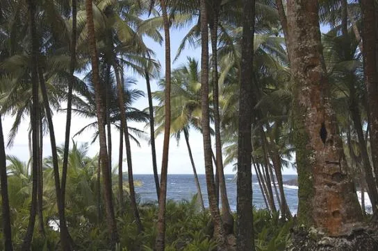 Voici notre idée d’itinéraire de 10 jours en Guyane