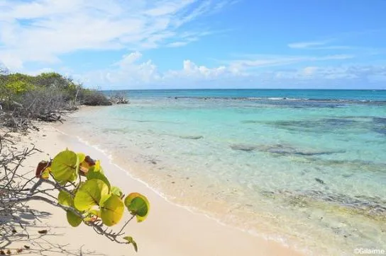 Idée d’itinéraire de 10 jours en Guadeloupe 