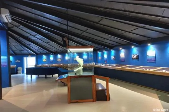 Visite du musée du coquillage et de la mer, en Martinique