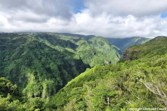 La Réunion : 6 visites à faire autour de Saint-Denis