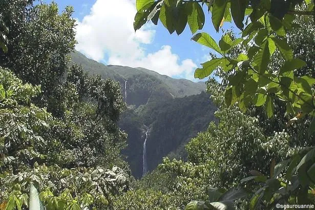 Guadeloupe : Tout savoir sur les chutes du Carbet !