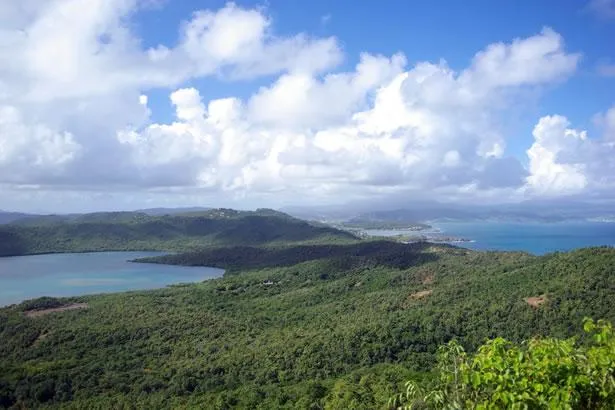 4 bonnes raisons de visiter la presqu'île de la Caravelle