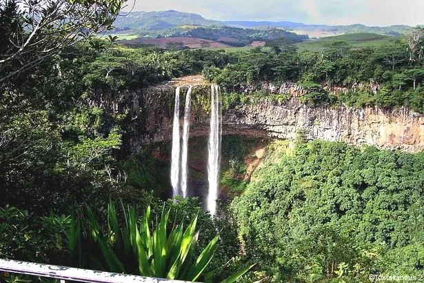 Île Maurice : Parc National des Gorges de la Rivière Noire