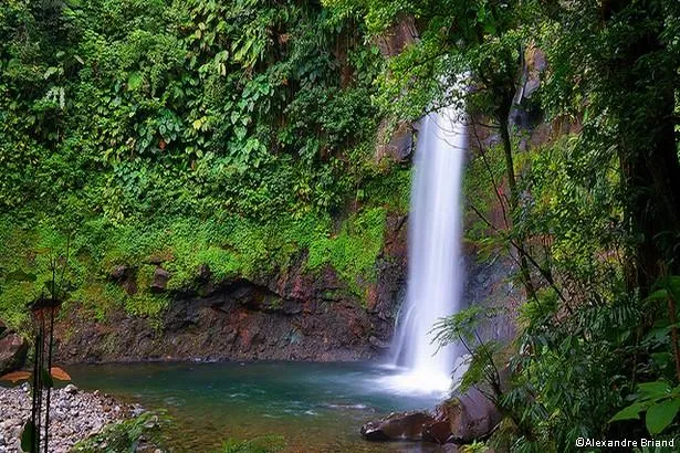 10 Cascades à voir absolument en Guadeloupe