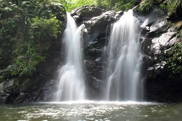 5 superbes cascades à voir en Martinique