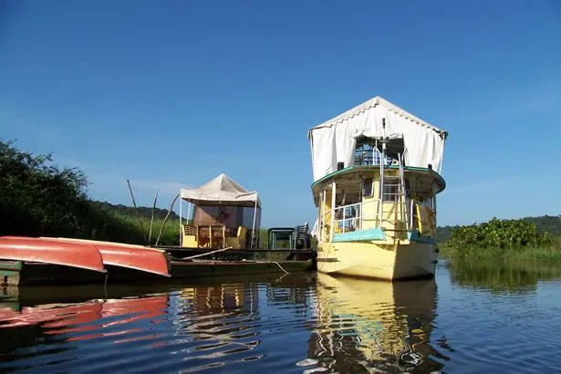 Partez à l’aventure dans les Marais de Kaw, en Guyane