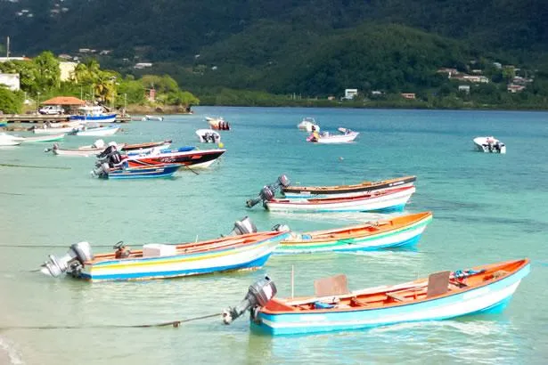 Les 3 endroits incontournables de Sainte-Luce en Martinique