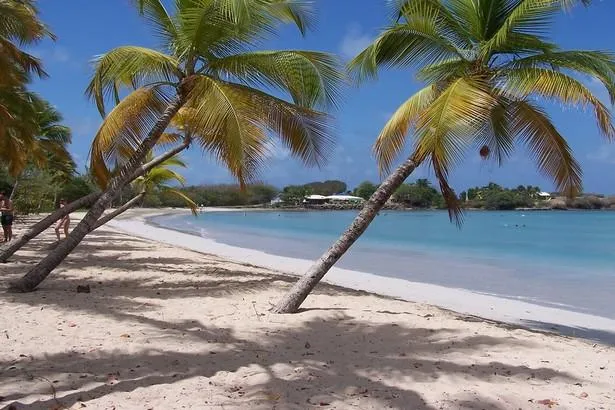 Découvrez la bonne période pour partir en Martinique 